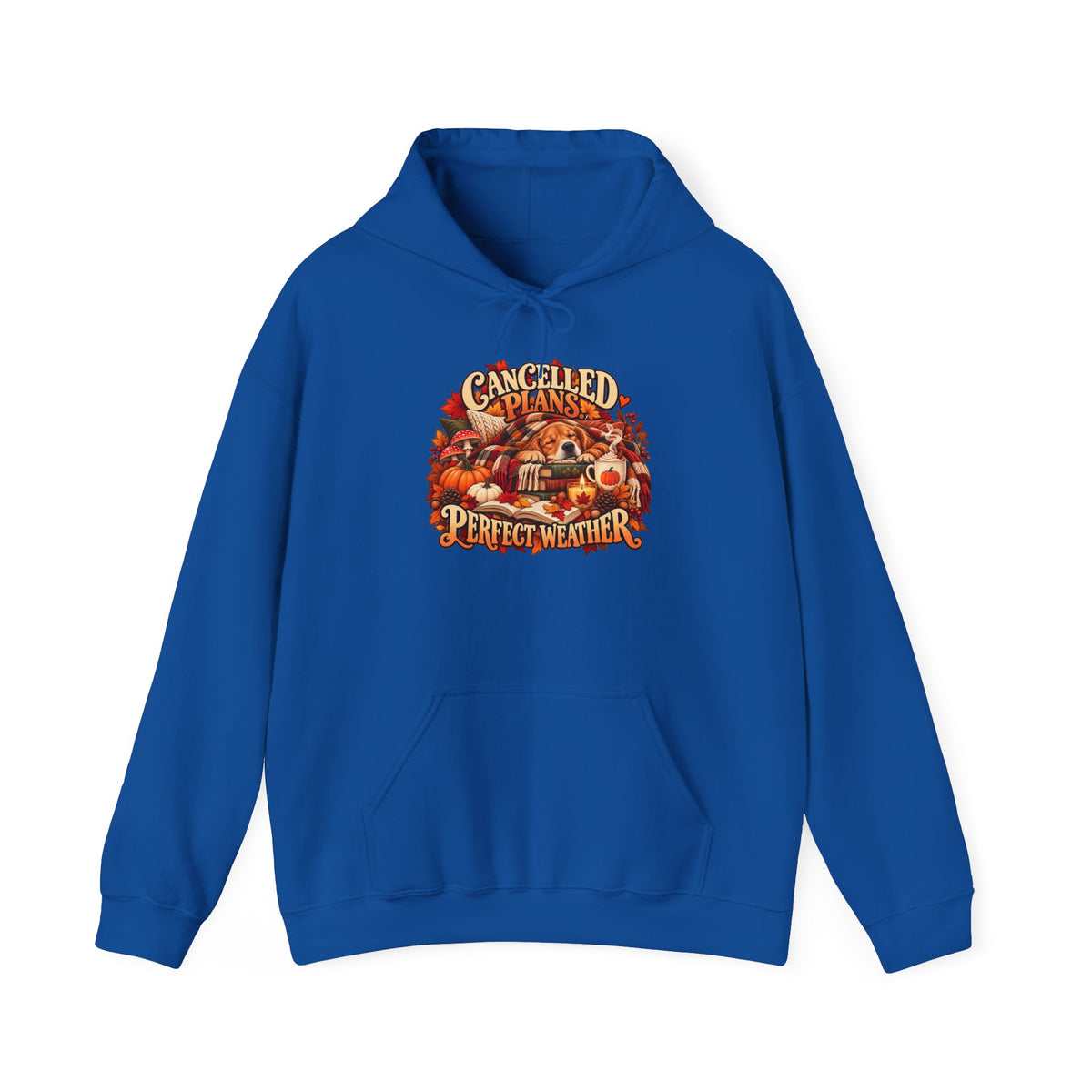 Cancelled Plans Perfect Weather Hoodie