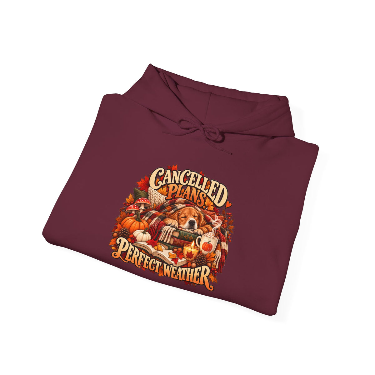 Cancelled Plans Perfect Weather Hoodie