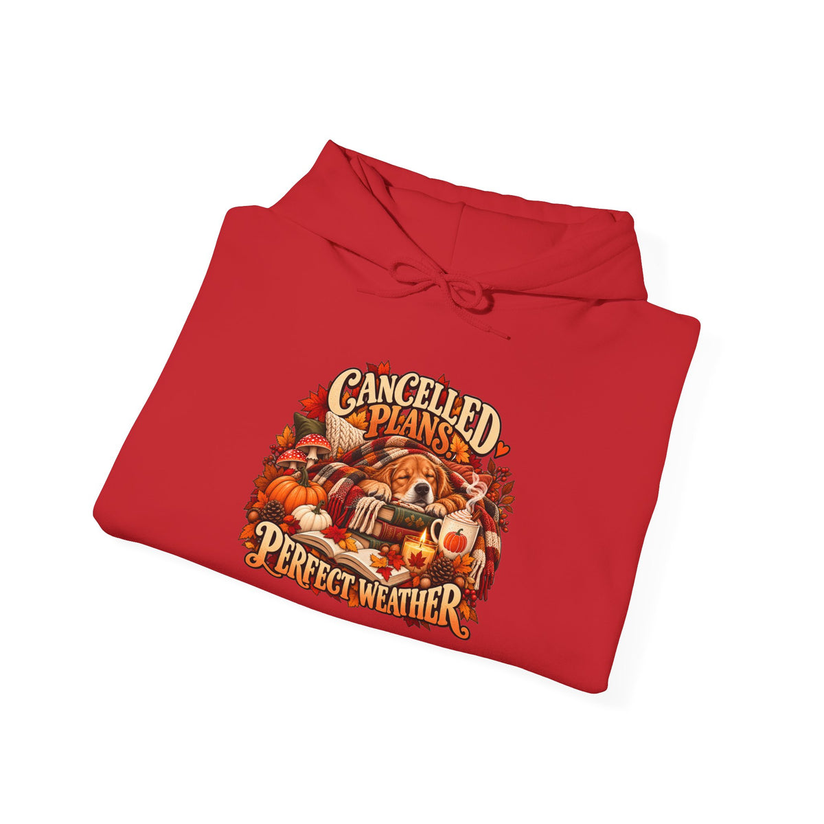 Cancelled Plans Perfect Weather Hoodie