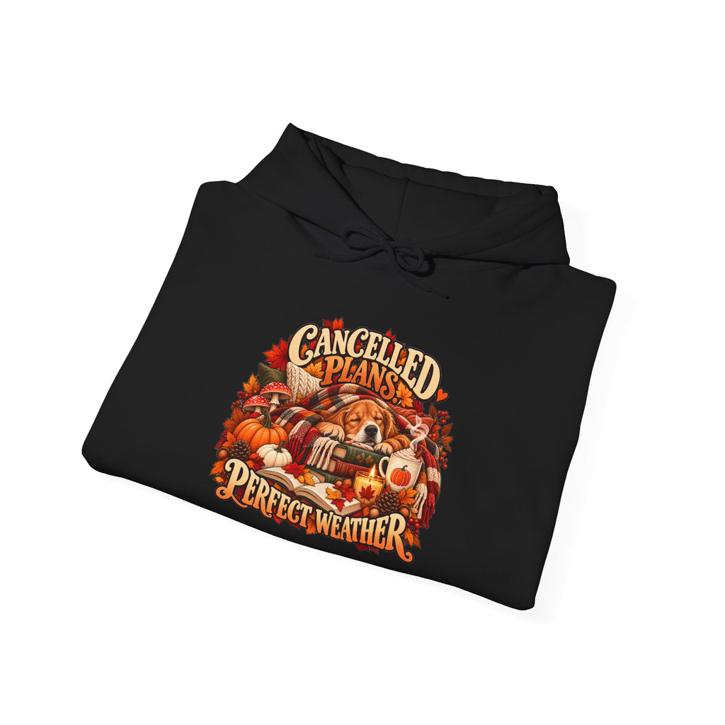 Cancelled Plans Perfect Weather Hoodie