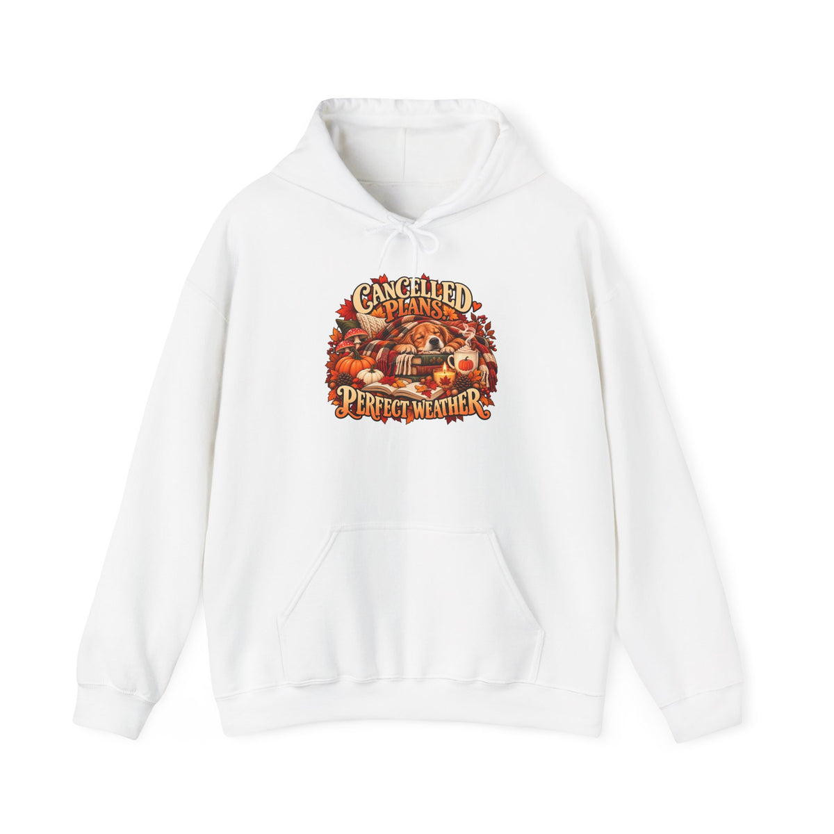 Cancelled Plans Perfect Weather Hoodie
