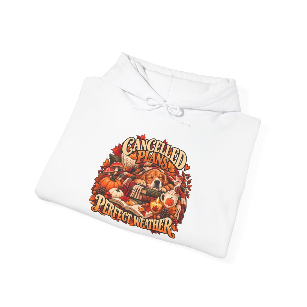 Cancelled Plans Perfect Weather Hoodie