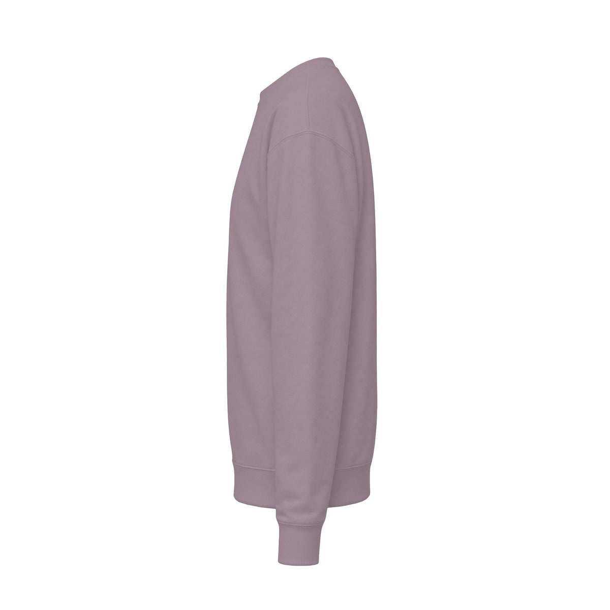 Oops I Did It Again? Squirrel Autumn Sweatshirt