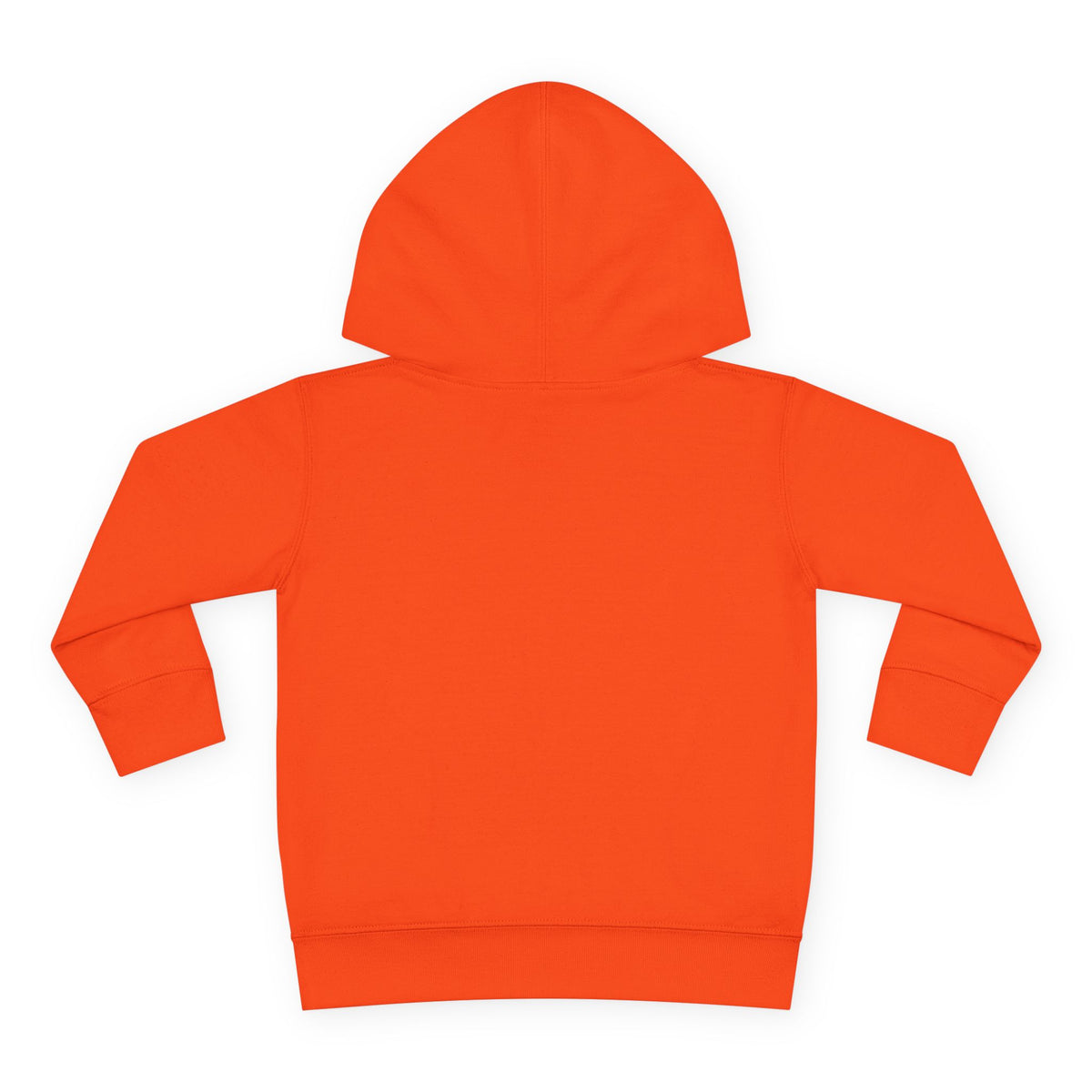 Toddler Hoodie – “I Can Do Hard Things After Snacks” Motivational Dinosaur Pullover