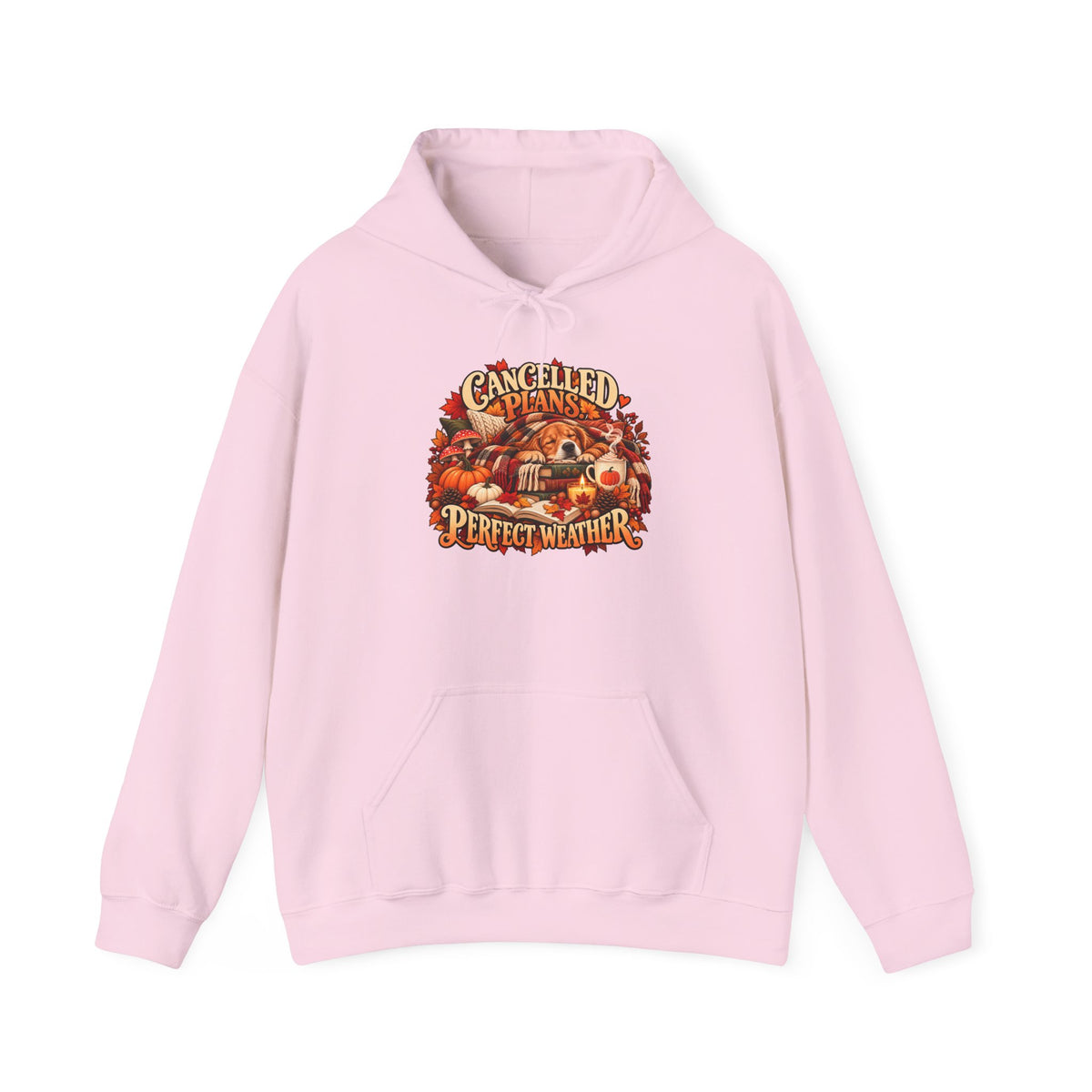 Cancelled Plans Perfect Weather Hoodie