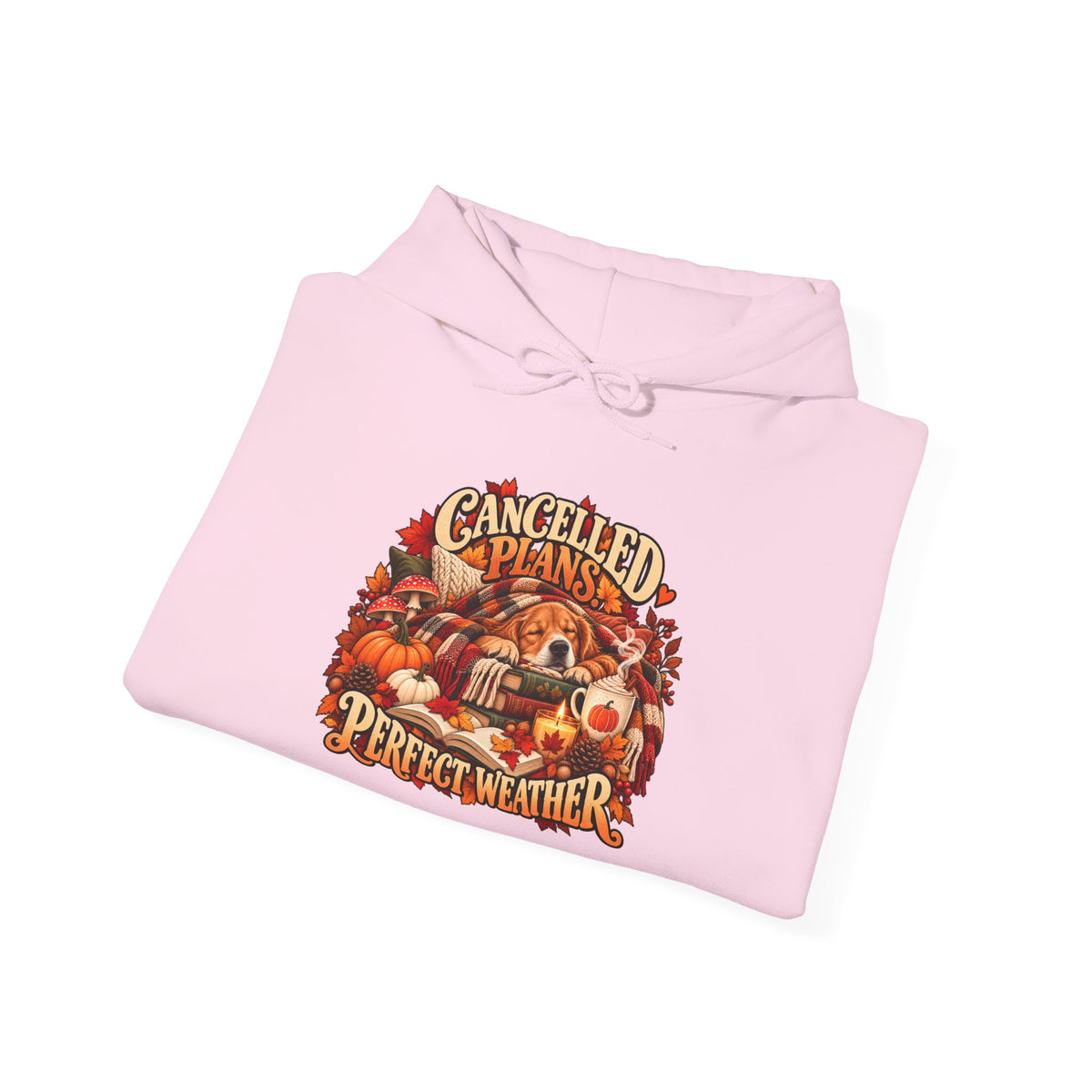 Cancelled Plans Perfect Weather Hoodie