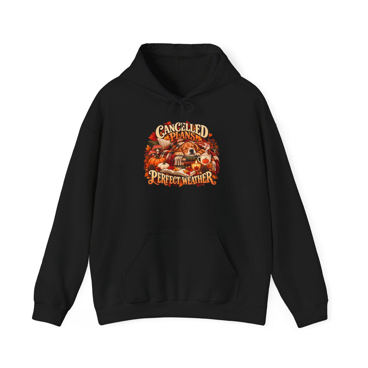Cancelled Plans Perfect Weather Hoodie