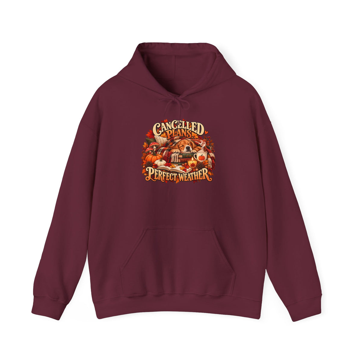 Cancelled Plans Perfect Weather Hoodie