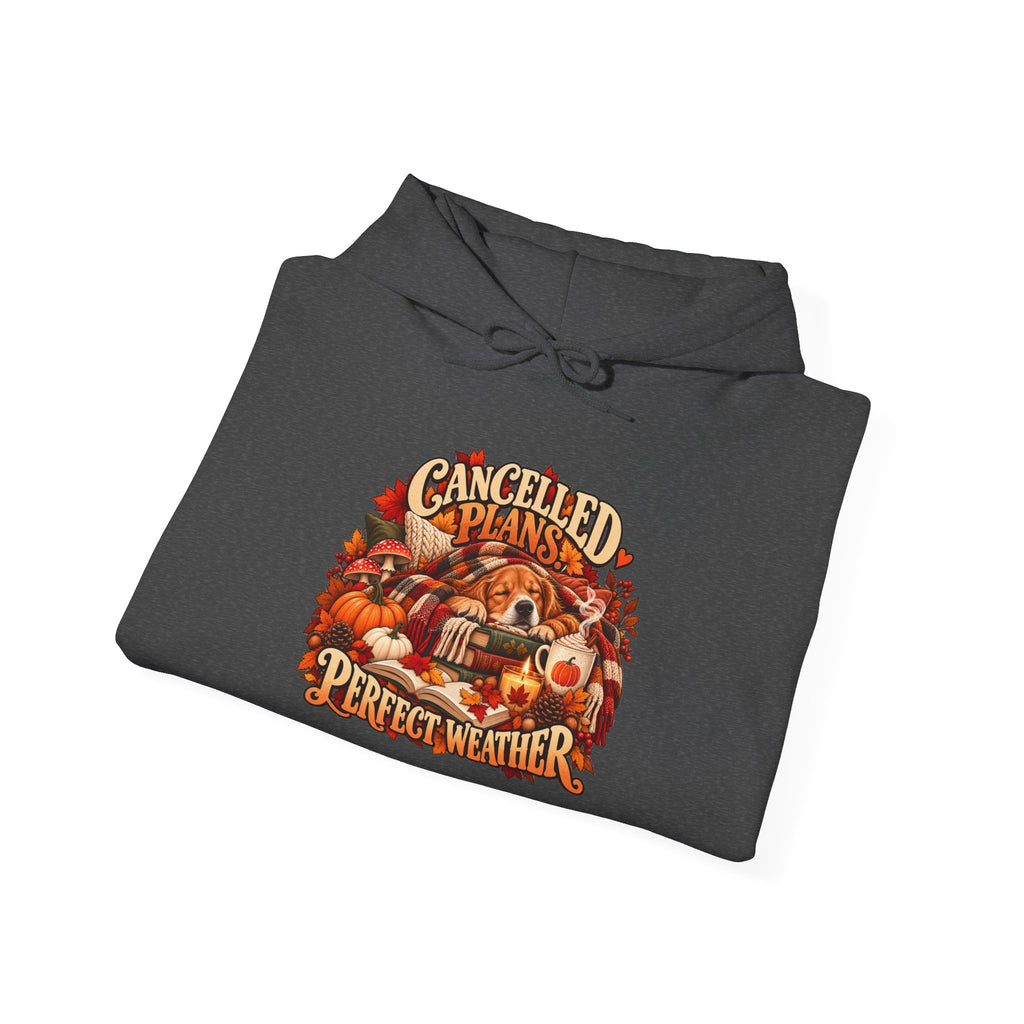 Cancelled Plans Perfect Weather Hoodie