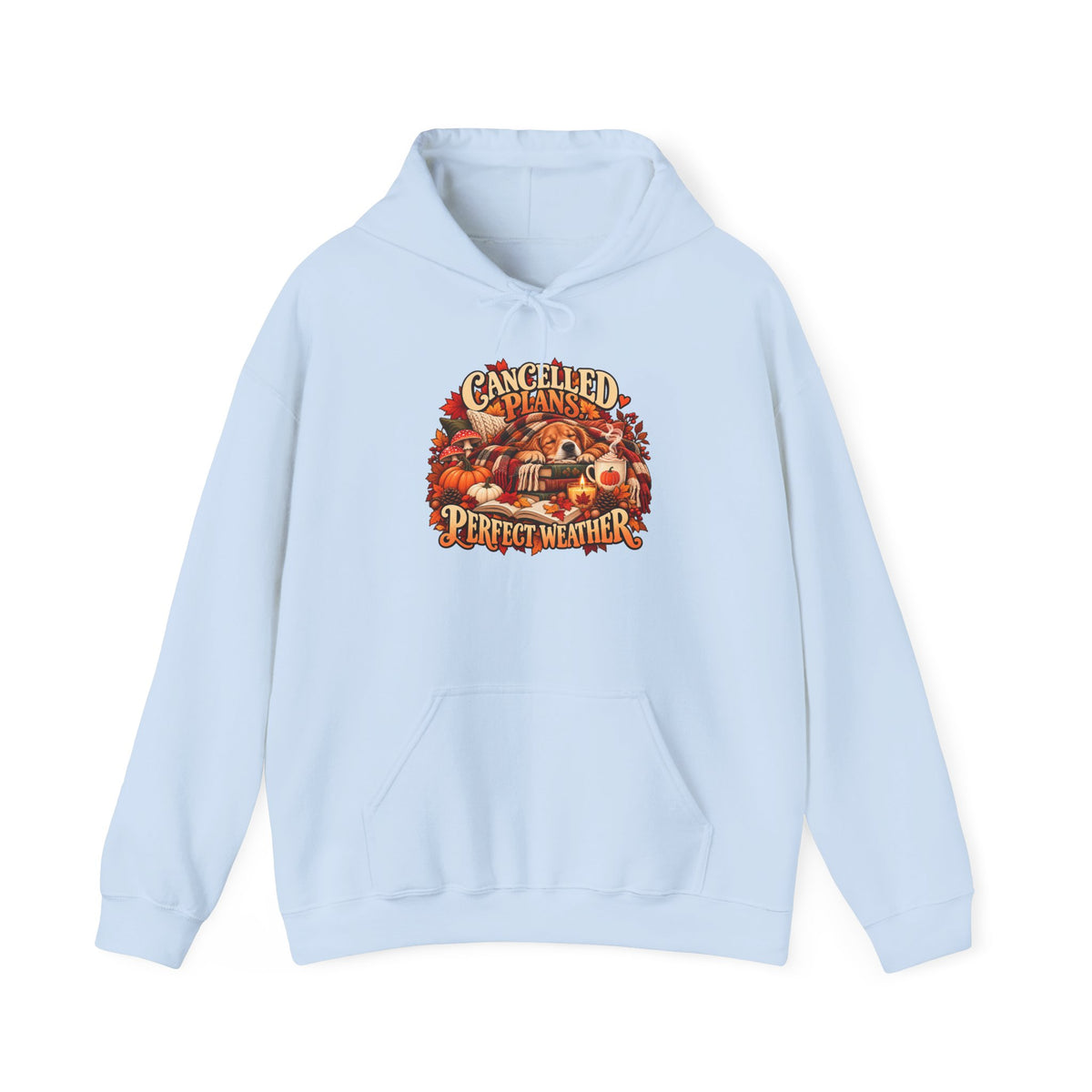 Cancelled Plans Perfect Weather Hoodie