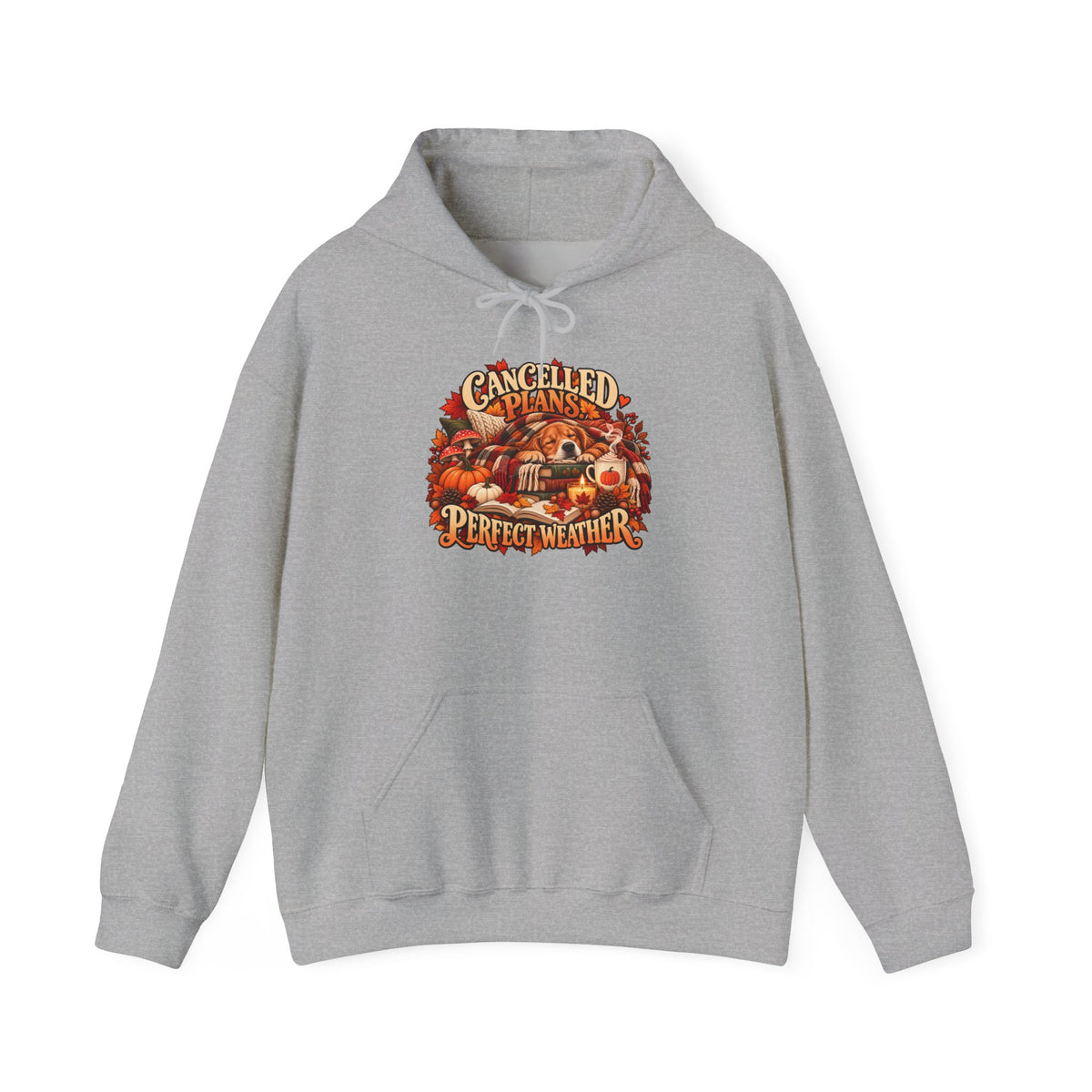 Cancelled Plans Perfect Weather Hoodie