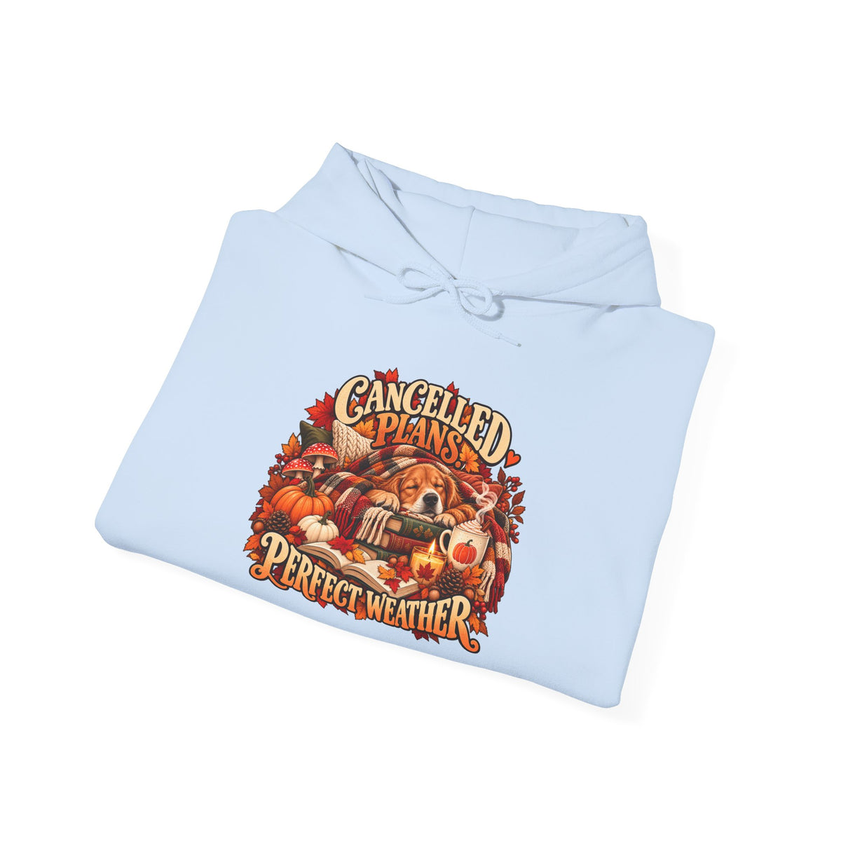 Cancelled Plans Perfect Weather Hoodie