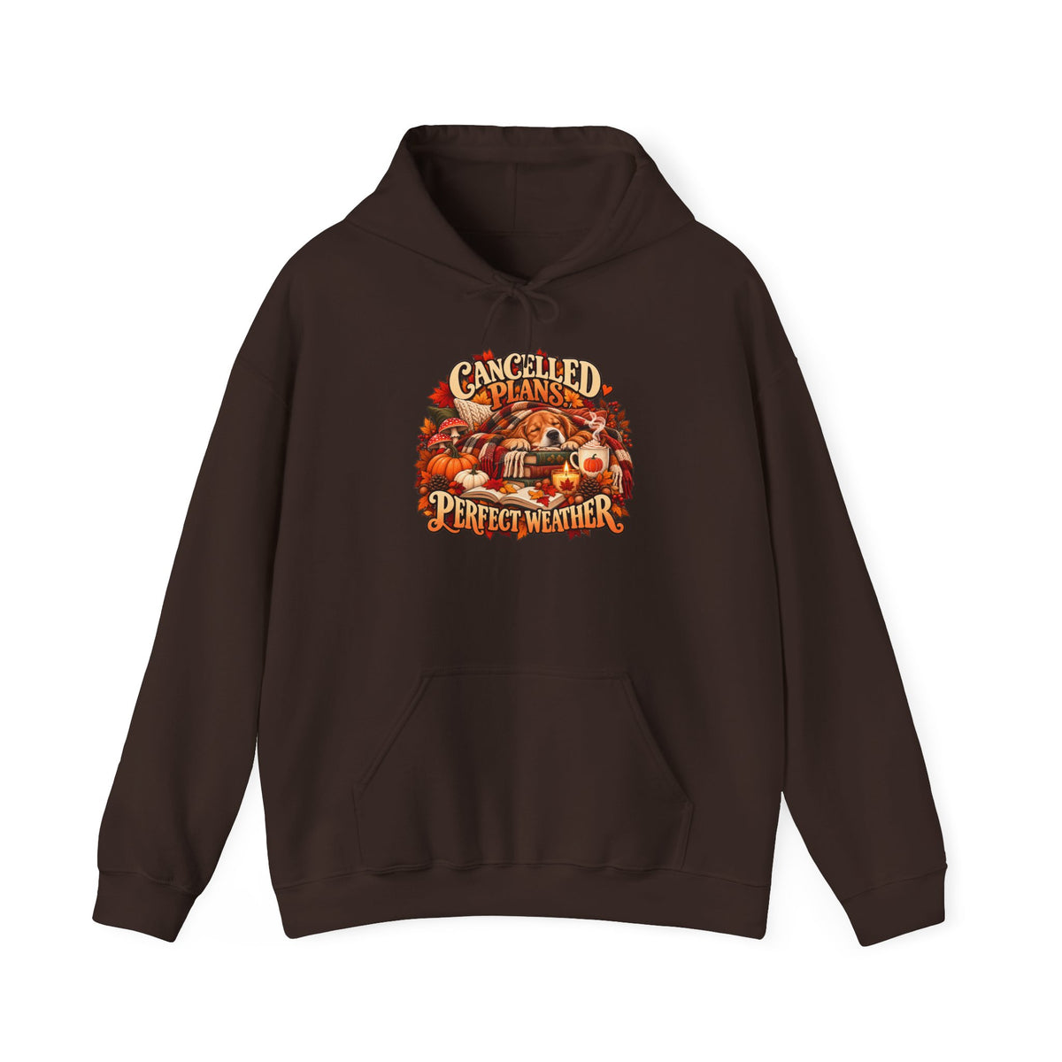 Cancelled Plans Perfect Weather Hoodie