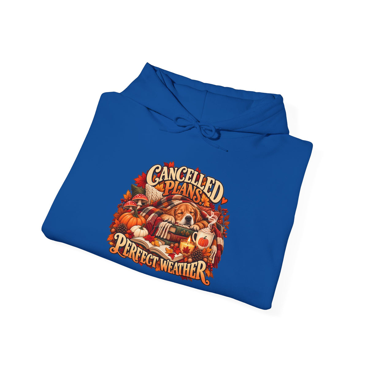 Cancelled Plans Perfect Weather Hoodie