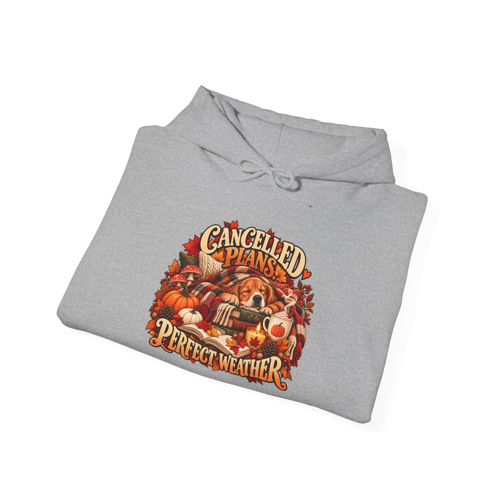Cancelled Plans Perfect Weather Hoodie