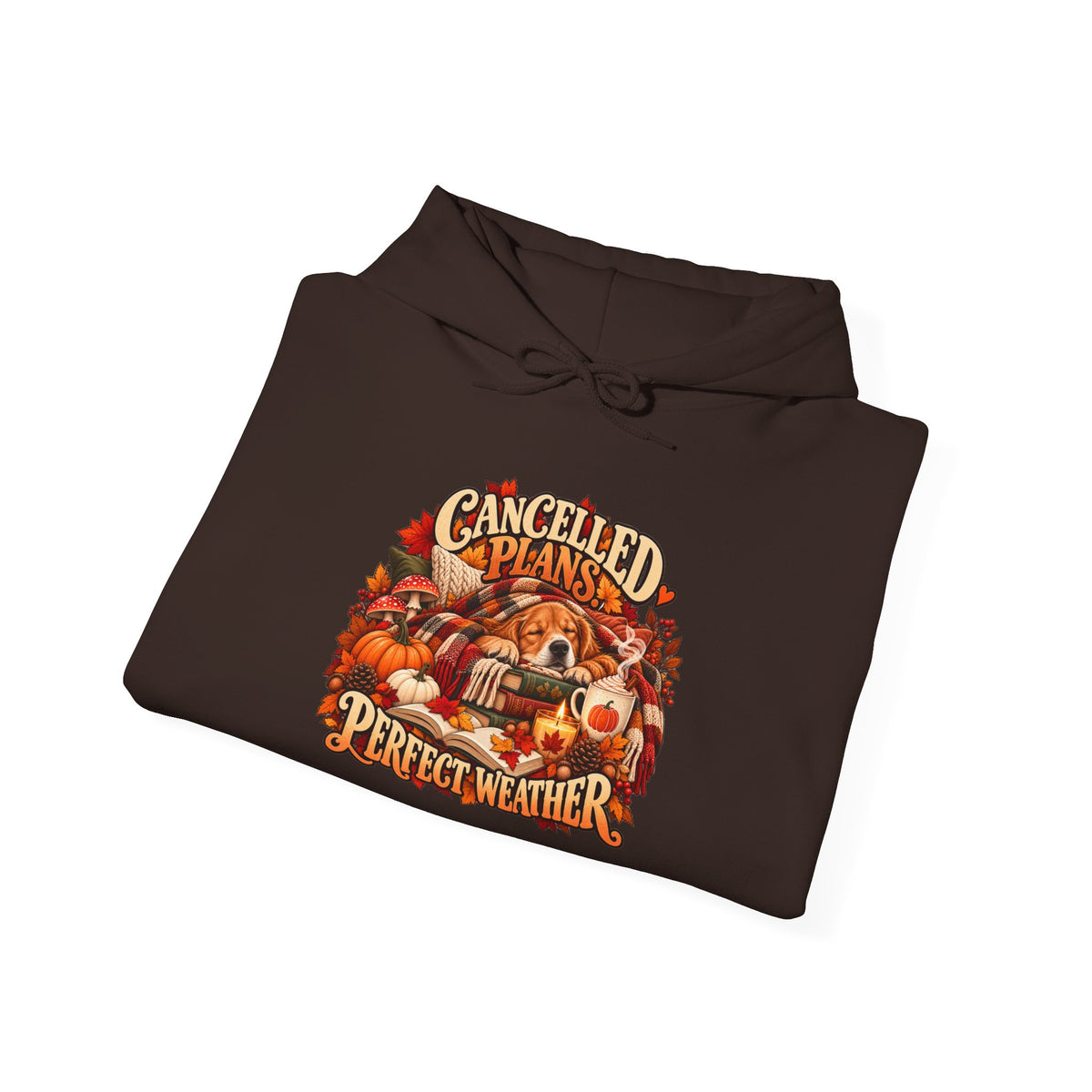 Cancelled Plans Perfect Weather Hoodie